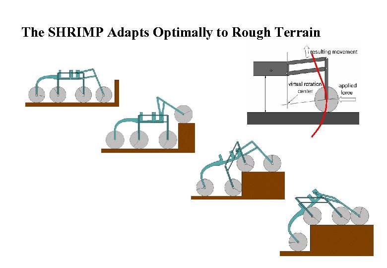 The SHRIMP Adapts Optimally to Rough Terrain 