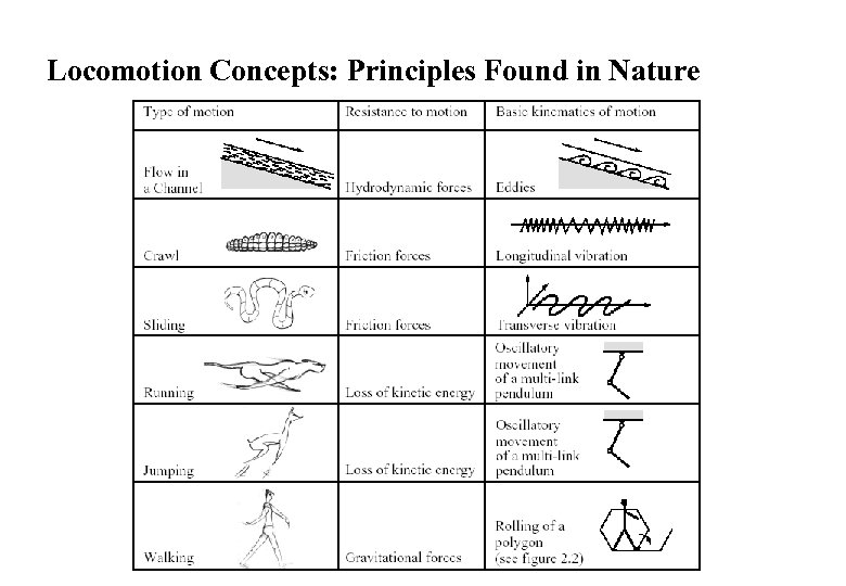 Locomotion Concepts: Principles Found in Nature 