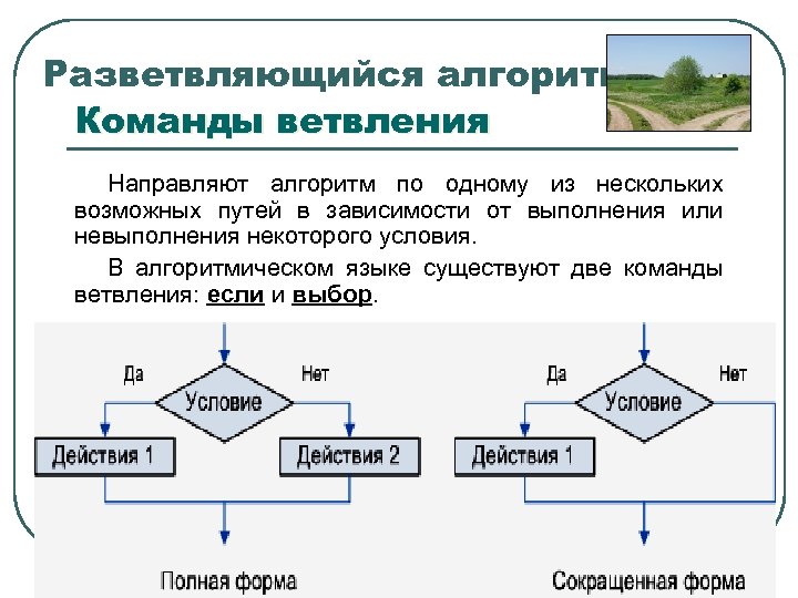 Разветвляющийся алгоритм Команды ветвления Направляют алгоритм по одному из нескольких возможных путей в зависимости