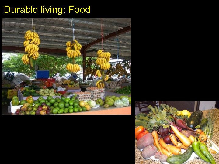 Durable living: Food 
