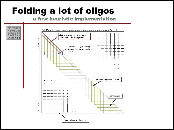 Folding a lot of oligos a fast heuristic implementation Full dynamic programming calculation for