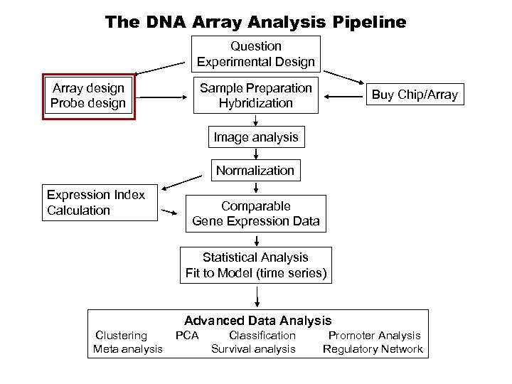 The DNA Array Analysis Pipeline Question Experimental Design Array design Probe design Sample Preparation