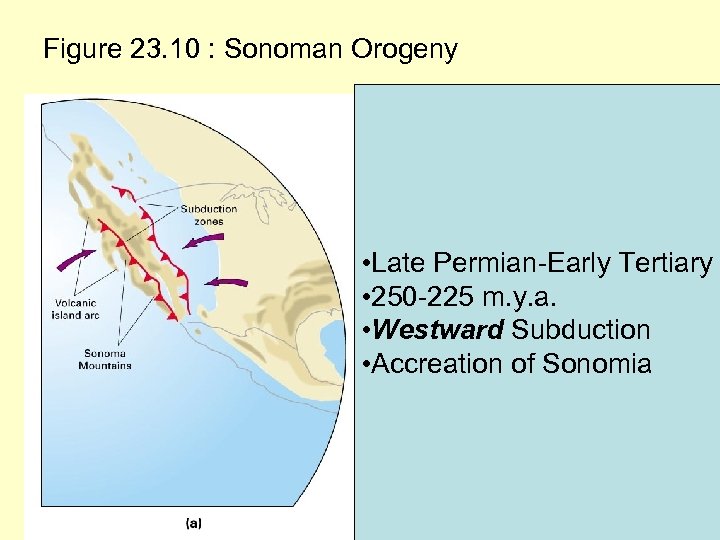 Figure 23. 10 : Sonoman Orogeny • Late Permian-Early Tertiary • 250 -225 m.