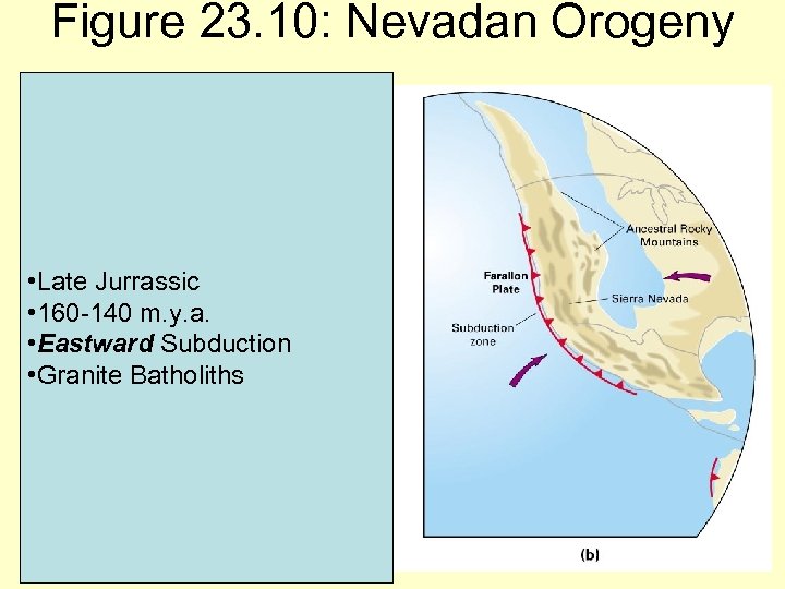 Figure 23. 10: Nevadan Orogeny • Late Jurrassic • 160 -140 m. y. a.