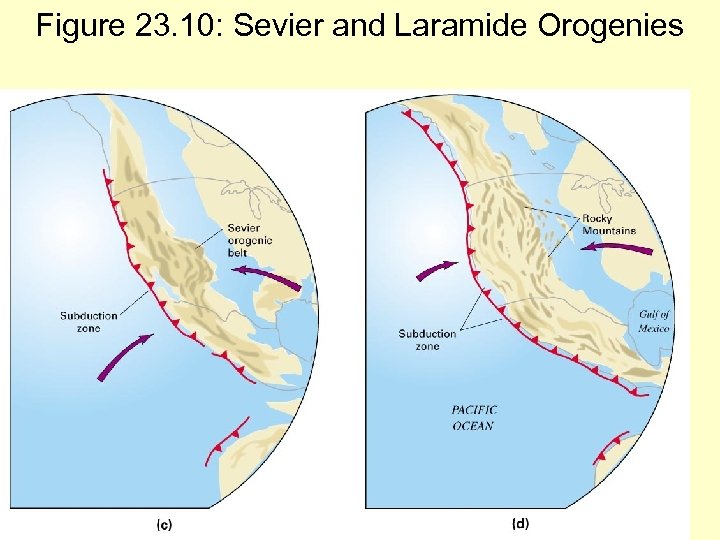 Figure 23. 10: Sevier and Laramide Orogenies 