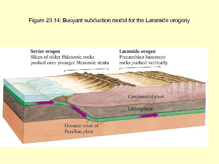 Figure 23. 14: Buoyant subduction model for the Laramide orogeny 