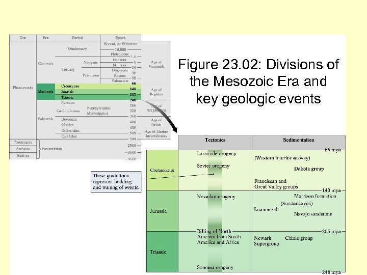 Figure 23. 02: Divisions of the Mesozoic Era and key geologic events 