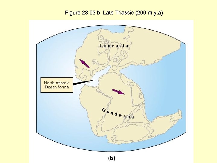 Figure 23. 03 b: Late Triassic (200 m. y. a) 