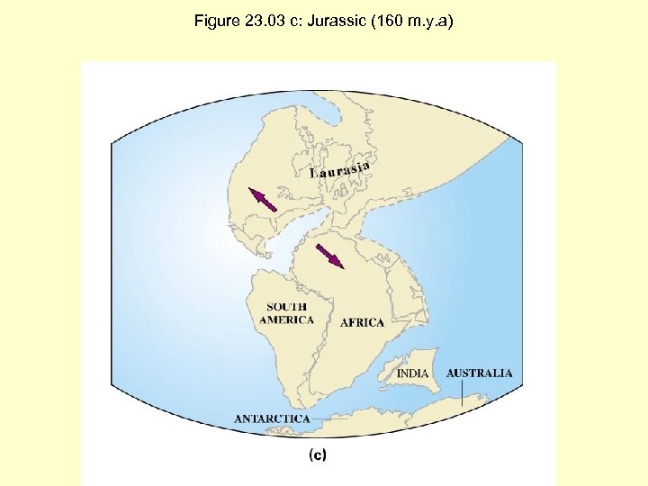 Figure 23. 03 c: Jurassic (160 m. y. a) 