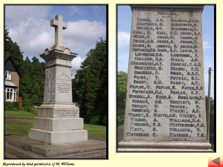 Reproduced by kind permission of M. Williams 