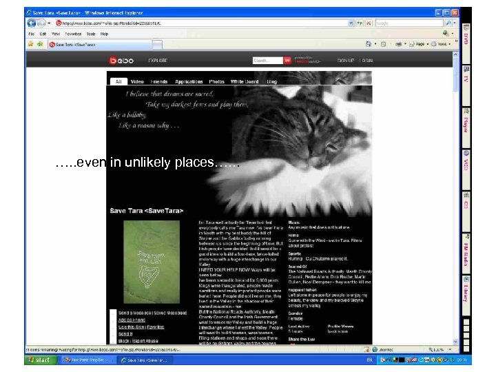 …. . even in unlikely places…. . . 