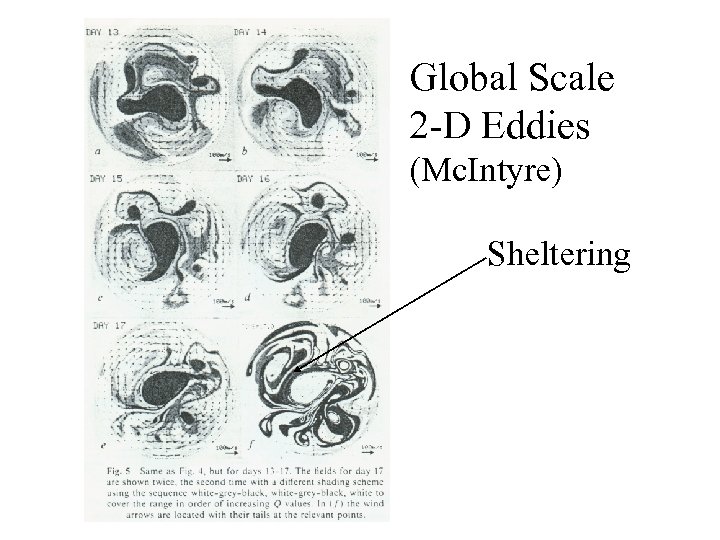 Global Scale 2 -D Eddies (Mc. Intyre) Sheltering 
