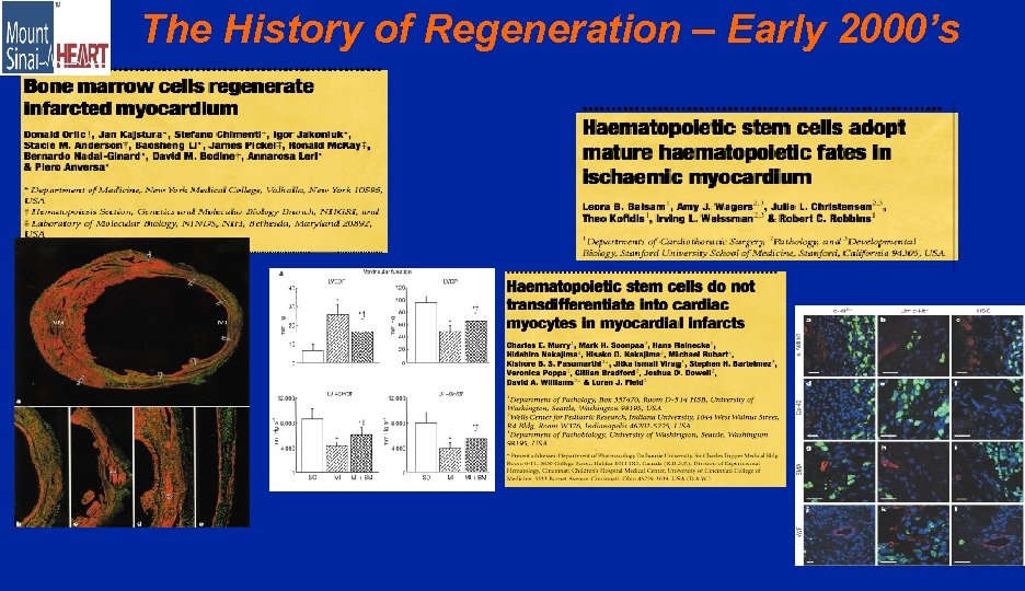 The History of Regeneration – Early 2000’s 