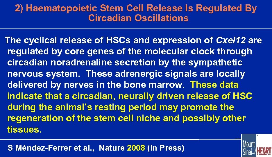 2) Haematopoietic Stem Cell Release Is Regulated By Circadian Oscillations The cyclical release of