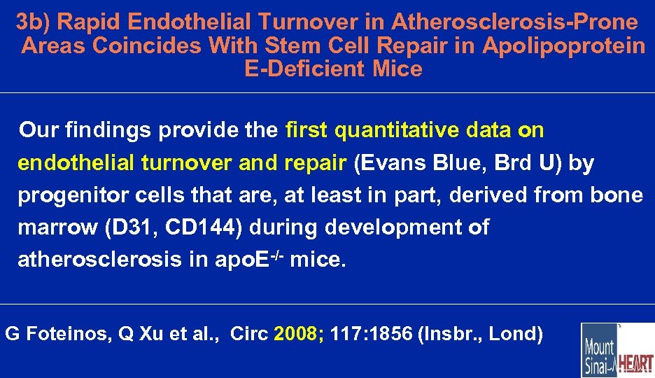 3 b) Rapid Endothelial Turnover in Atherosclerosis-Prone Areas Coincides With Stem Cell Repair in