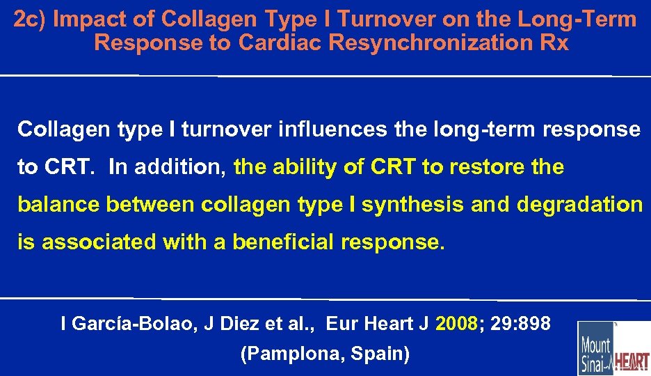 2 c) Impact of Collagen Type I Turnover on the Long-Term Response to Cardiac