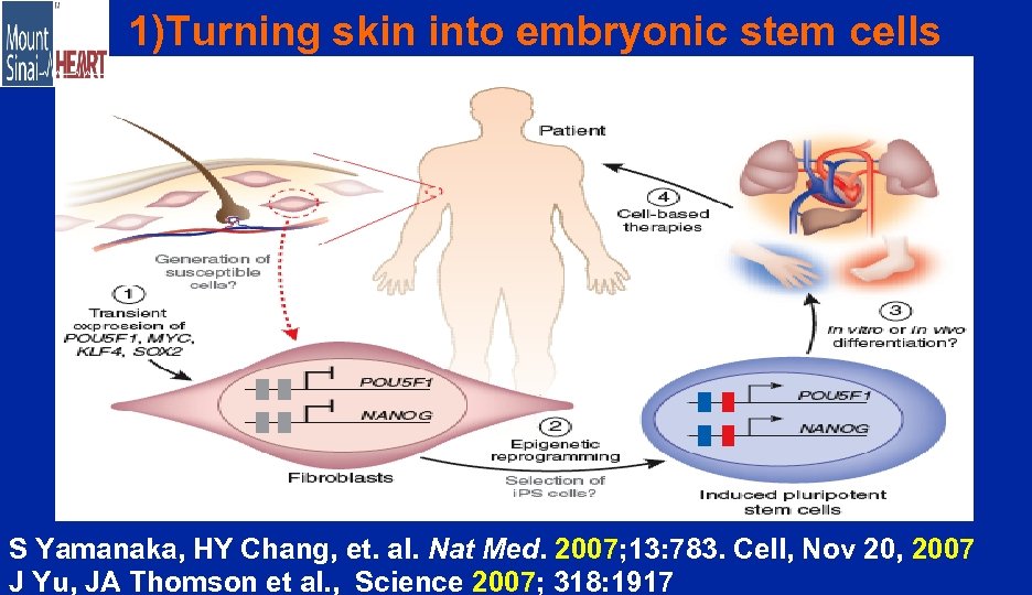 1)Turning skin into embryonic stem cells S Yamanaka, HY Chang, et. al. Nat Med.