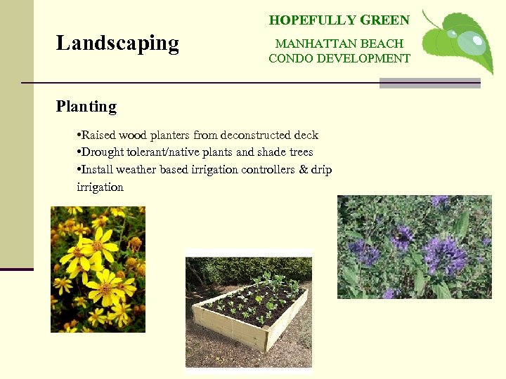 HOPEFULLY GREEN Landscaping MANHATTAN BEACH CONDO DEVELOPMENT Planting • Raised wood planters from deconstructed