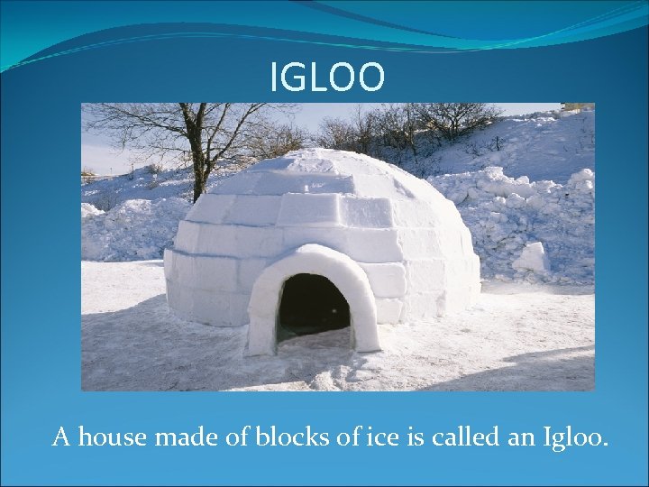 IGLOO A house made of blocks of ice is called an Igloo. 