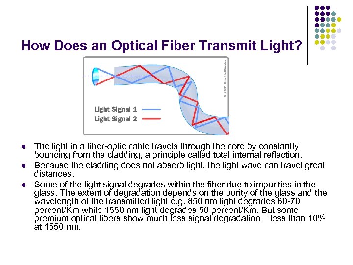 How Does an Optical Fiber Transmit Light? l l l The light in a