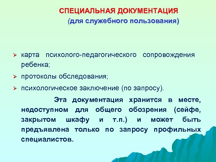 Педагогическая документация. Специальная документация. «Специальная документация специалистов учреждения. Специальная документация рук.