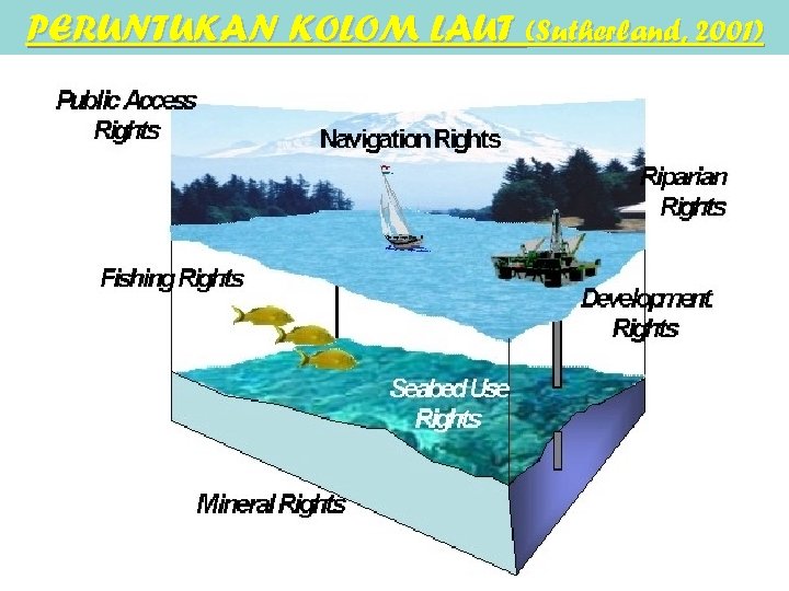 PERUNTUKAN KOLOM LAUT (Sutherland, 2001) 