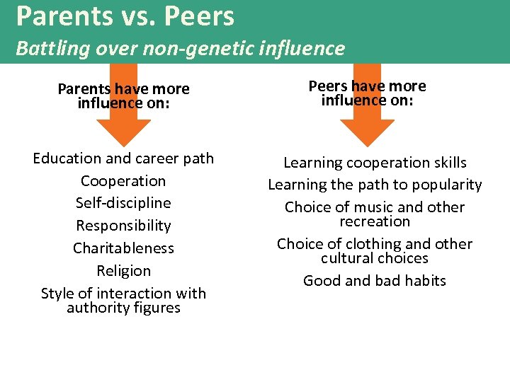 Parents vs. Peers Battling over non-genetic influence Parents have more influence on: Education and