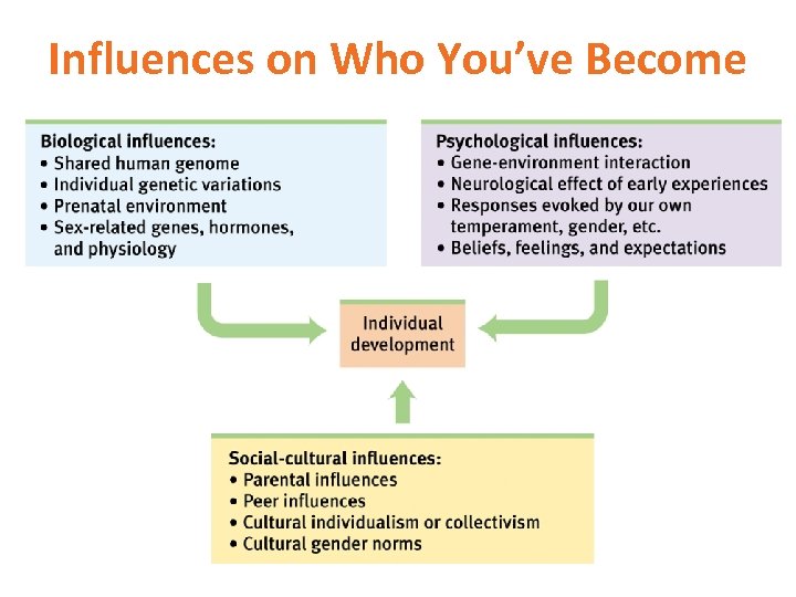 Influences on Who You’ve Become 