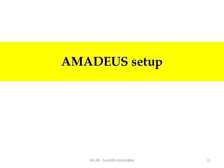 AMADEUS setup 38 LNF - Scientific Committee 11 