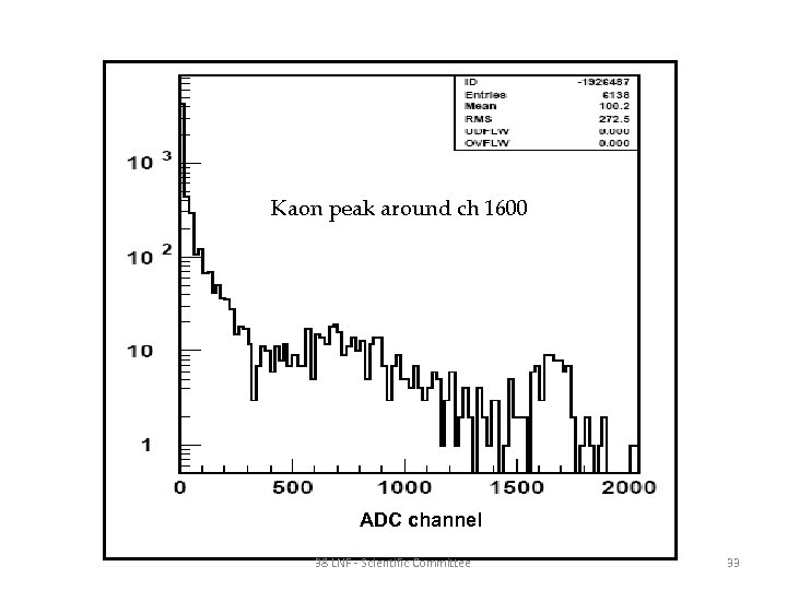 Kaon peak around ch 1600 ADC channel 38 LNF - Scientific Committee 33 