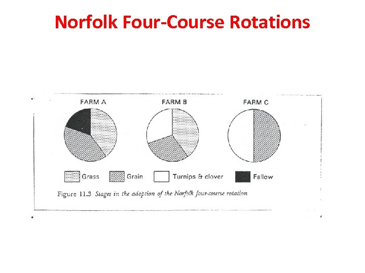 Norfolk Four-Course Rotations 