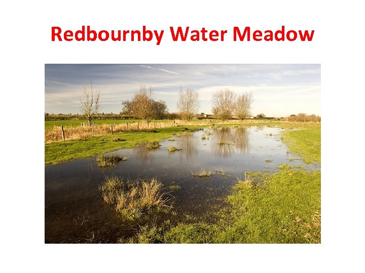 Redbournby Water Meadow 