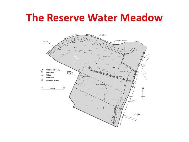 The Reserve Water Meadow 