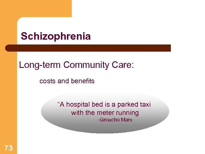 Schizophrenia Long-term Community Care: costs and benefits “A hospital bed is a parked taxi