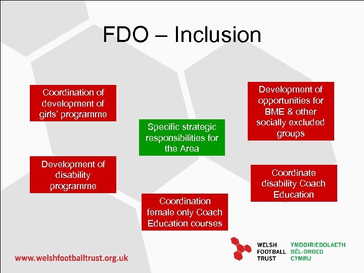 FDO – Inclusion Coordination of development of girls’ programme Specific strategic responsibilities for the