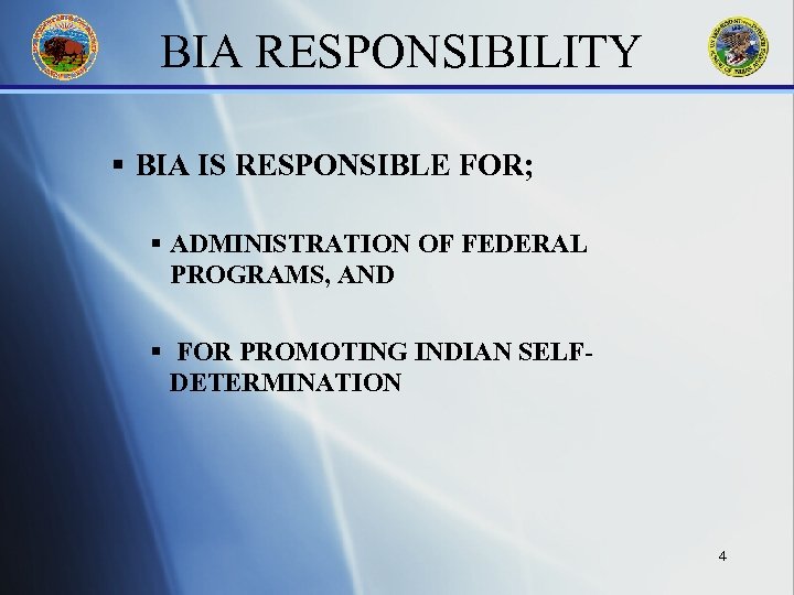 BIA RESPONSIBILITY § BIA IS RESPONSIBLE FOR; § ADMINISTRATION OF FEDERAL PROGRAMS, AND §