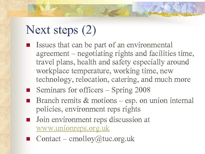 Next steps (2) n n n Issues that can be part of an environmental