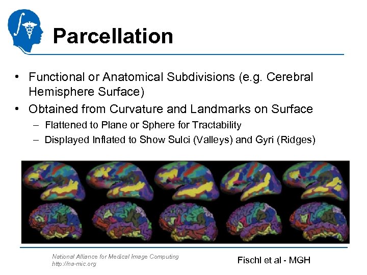 Parcellation • Functional or Anatomical Subdivisions (e. g. Cerebral Hemisphere Surface) • Obtained from