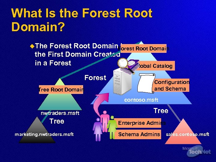 What Is the Forest Root Domain? u. The Forest Root Domain Is the First