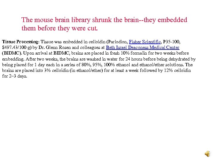 The mouse brain library shrunk the brain--they embedded them before they were cut. Tissue