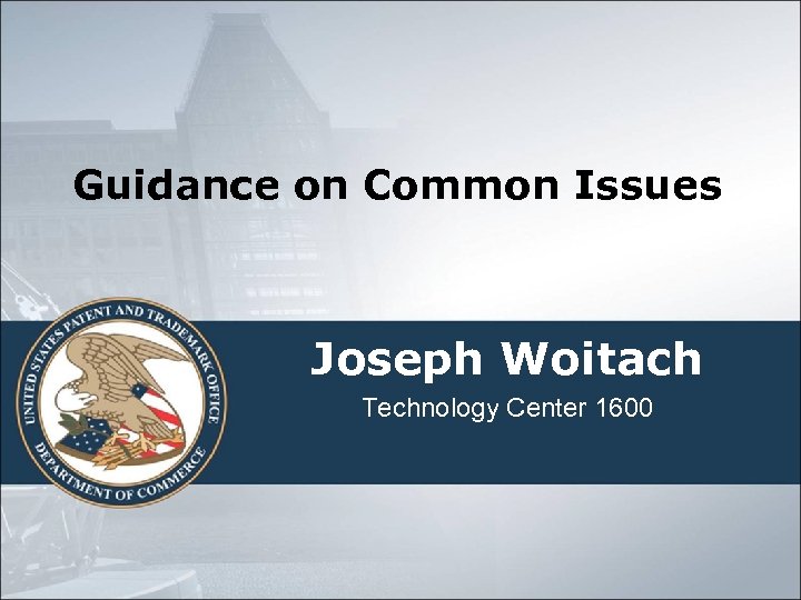 Guidance on Common Issues Joseph Woitach Technology Center 1600 