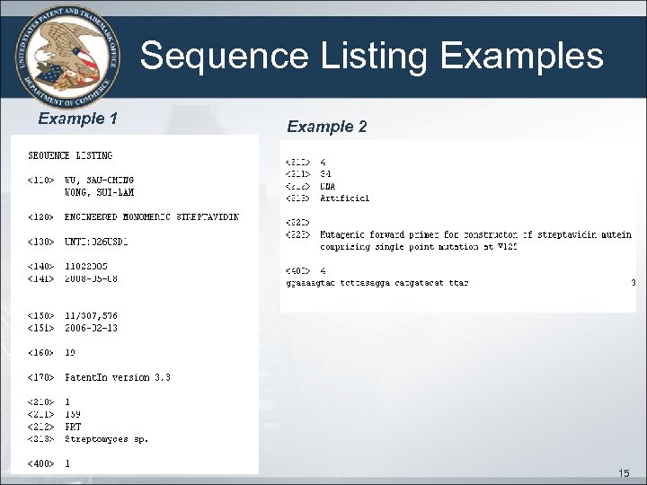 Sequence Listing Examples Example 1 Example 2 15 