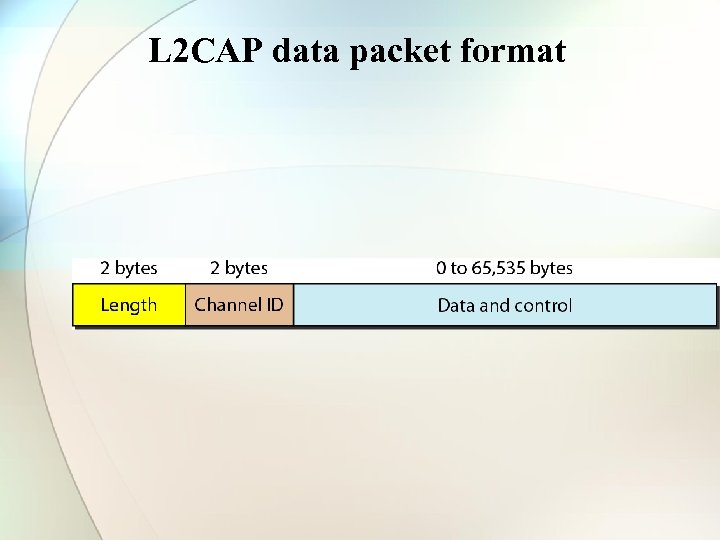 L 2 CAP data packet format 