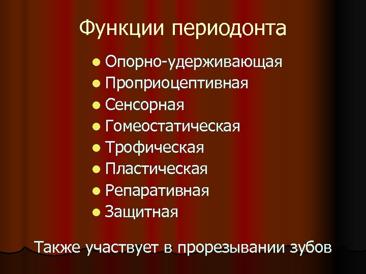 Функции периодонта l Опорно-удерживающая l Проприоцептивная l Сенсорная l Гомеостатическая l Трофическая l Пластическая