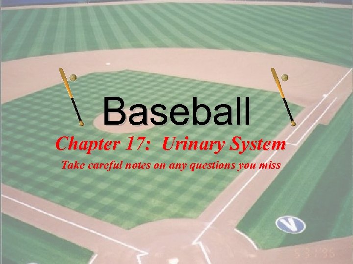 Baseball Chapter 17: Urinary System Take careful notes on any questions you miss 1
