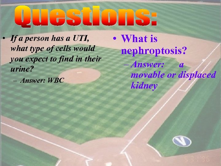 • If a person has a UTI, what type of cells would you