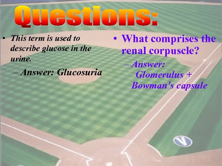  • This term is used to describe glucose in the urine. – Answer: