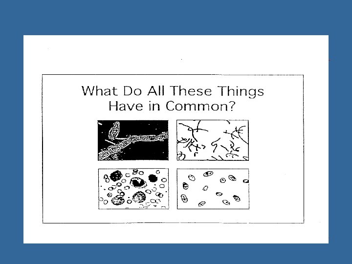 FLOW CYTOMETRY 