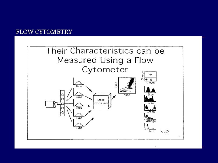 FLOW CYTOMETRY 