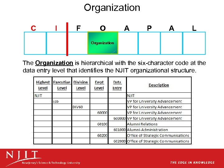 Organization C I F Account Index Chart Fund Required O Organization A Account P